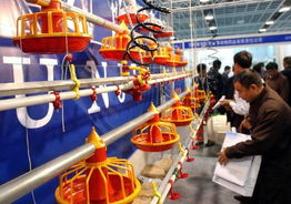 2003中國畜牧業(yè)暨飼料工業(yè)交易會 推動行業(yè)發(fā)展的盛會