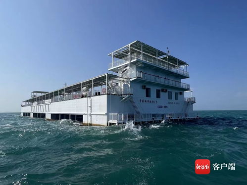 智慧漁業賦能“海上糧倉”建設——媒體海南行聚焦樂東龍棲灣海洋牧場